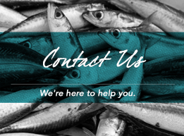 Contact Us, Billingsgate, Billingsgate Fish Market, Fish Market, London, East London, Seafood